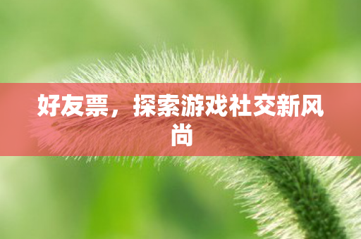 好友票,探索游戏社交新风尚 好友票,探索游戏社交新风尚