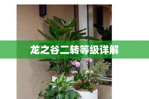 龙之谷二转等级详解 龙之谷二转等级详解