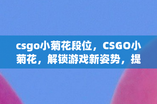 csgo小菊花段位,CSGO小菊花,解锁游戏新姿势,提升你的游戏体验 csgo小菊花段位,CSGO小菊花,解锁游戏新姿势,提升你的游戏体验