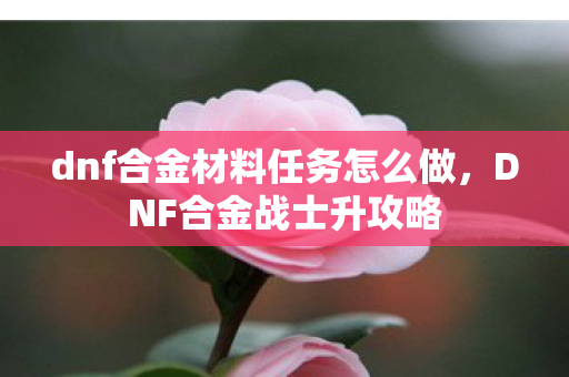 dnf合金材料任务怎么做,DNF合金战士升攻略 dnf合金材料任务怎么做,DNF合金战士升攻略