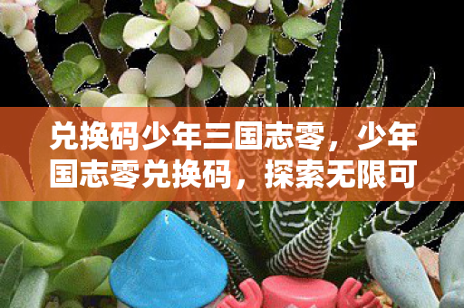 兑换码少年三国志零，少年国志零兑换码，探索无限可能的奇幻之旅