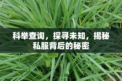 科举查询,探寻未知,揭秘私服背后的秘密 科举查询,探寻未知,揭秘私服背后的秘密