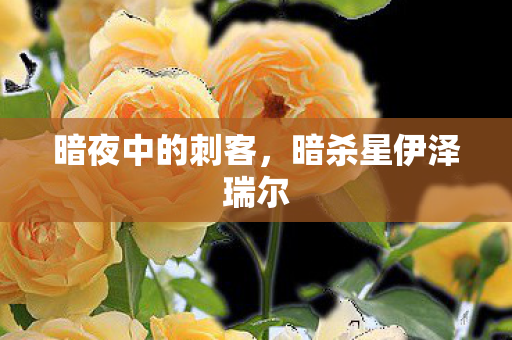 暗夜中的刺客,暗杀星伊泽瑞尔 暗夜中的刺客,暗杀星伊泽瑞尔