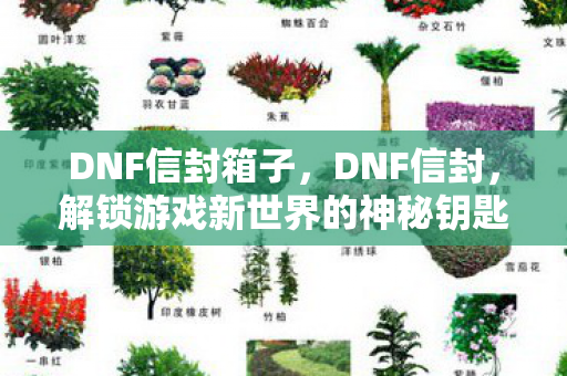 DNF信封箱子,DNF信封,解锁游戏新世界的神秘钥匙 DNF信封箱子,DNF信封,解锁游戏新世界的神秘钥匙