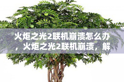 火炬之光2联机崩溃怎么办,火炬之光2联机崩溃,解决之道与游戏体验优化 火炬之光2联机崩溃怎么办,火炬之光2联机崩溃,解决之道与游戏体验优化