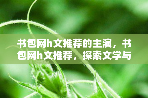 书包网h文推荐的主演,书包网h文推荐,探索文学与幻想的奇妙交汇 书包网h文推荐的主演,书包网h文推荐,探索文学与幻想的奇妙交汇