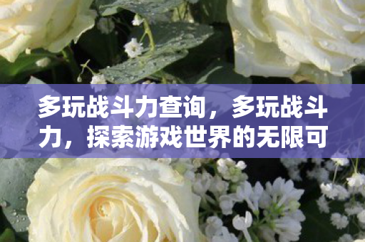 多玩战斗力查询,多玩战斗力,探索游戏世界的无限可能 多玩战斗力查询,多玩战斗力,探索游戏世界的无限可能