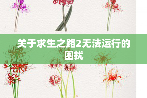 关于求生之路2无法运行的困扰 关于求生之路2无法运行的困扰