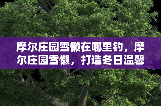 摩尔庄园雪懒在哪里钓，摩尔庄园雪懒，打造冬日温馨庄园的秘诀