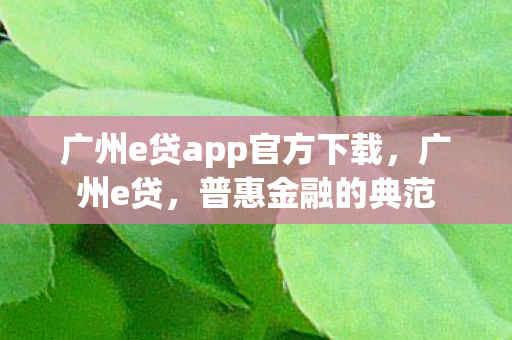 广州e贷app官方下载,广州e贷,普惠金融的典范 广州e贷app官方下载,广州e贷,普惠金融的典范