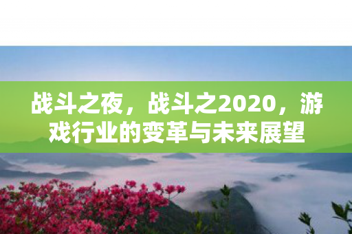 战斗之夜，战斗之2020，游戏行业的变革与未来展望