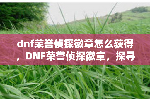 dnf荣誉侦探徽章怎么获得,DNF荣誉侦探徽章,探寻游戏内的荣耀象征 dnf荣誉侦探徽章怎么获得,DNF荣誉侦探徽章,探寻游戏内的荣耀象征
