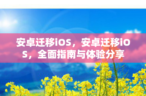 安卓迁移iOS，安卓迁移iOS，全面指南与体验分享