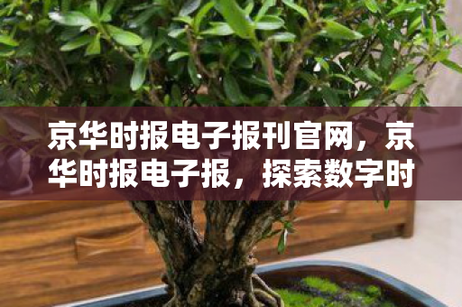 京华时报电子报刊官网,京华时报电子报,探索数字时代的传媒变革 京华时报电子报刊官网,京华时报电子报,探索数字时代的传媒变革