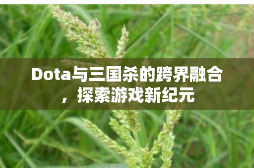 Dota与三国杀的跨界融合,探索游戏新纪元 Dota与三国杀的跨界融合,探索游戏新纪元