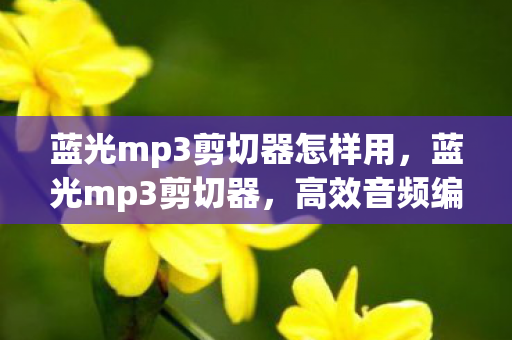 蓝光mp3剪切器怎样用，蓝光mp3剪切器，高效音频编辑工具