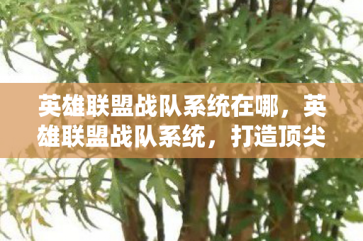 英雄联盟战队系统在哪，英雄联盟战队系统，打造顶尖团队，共赴荣耀征程