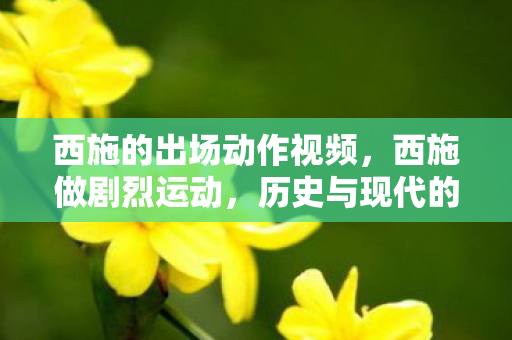 西施的出场动作视频,西施做剧烈运动,历史与现代的碰撞 西施的出场动作视频,西施做剧烈运动,历史与现代的碰撞