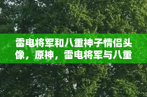 雷电将军和八重神子情侣头像，原神，雷电将军与八重神子的神秘互动