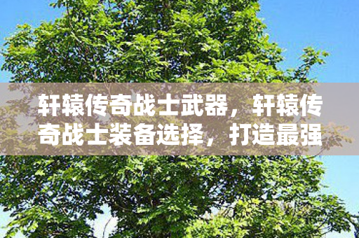 轩辕传奇战士武器，轩辕传奇战士装备选择，打造最强战士的必备神器