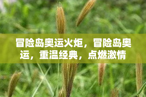 冒险岛奥运火炬,冒险岛奥运,重温经典,点燃激情 冒险岛奥运火炬,冒险岛奥运,重温经典,点燃激情