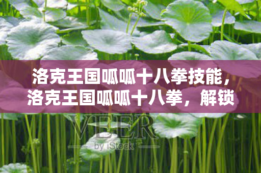 洛克王国呱呱十八拳技能,洛克王国呱呱十八拳,解锁宠物战斗新境界 洛克王国呱呱十八拳技能,洛克王国呱呱十八拳,解锁宠物战斗新境界