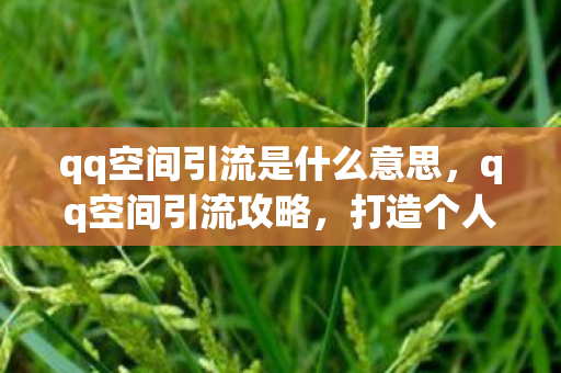 qq空间引流是什么意思,qq空间引流攻略,打造个人品牌,吸引精准流量 qq空间引流是什么意思,qq空间引流攻略,打造个人品牌,吸引精准流量