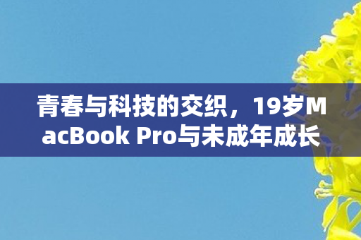 青春与科技的交织,19岁MacBook Pro与未成年成长之路 青春与科技的交织,19岁MacBook Pro与未成年成长之路