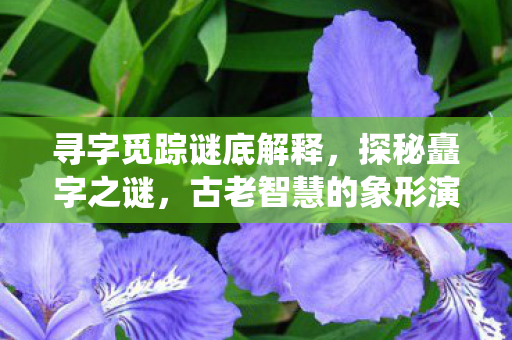 寻字觅踪谜底解释，探秘矗字之谜，古老智慧的象形演绎