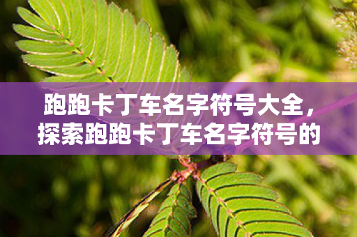 跑跑卡丁车名字符号大全,探索跑跑卡丁车名字符号的无限创意 跑跑卡丁车名字符号大全,探索跑跑卡丁车名字符号的无限创意
