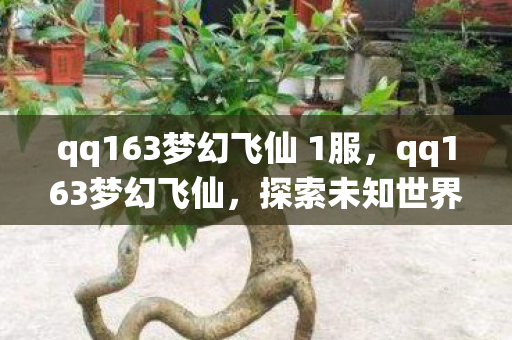 qq163梦幻飞仙 1服,qq163梦幻飞仙,探索未知世界的奇幻之旅 qq163梦幻飞仙 1服,qq163梦幻飞仙,探索未知世界的奇幻之旅