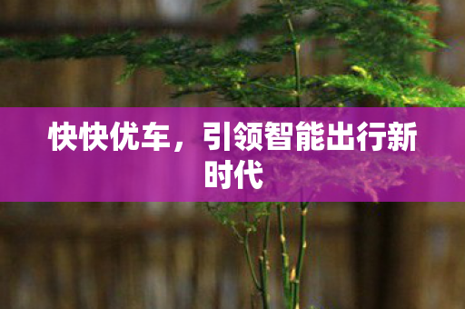 快快优车,引领智能出行新时代 快快优车,引领智能出行新时代