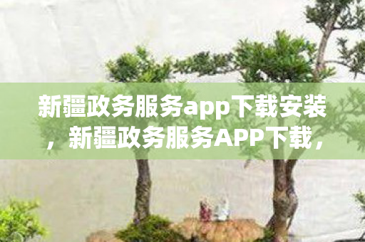 新疆政务服务app下载安装,新疆政务服务APP下载,提升政务服务效率,打造便捷生活体验 新疆政务服务app下载安装,新疆政务服务APP下载,提升政务服务效率,打造便捷生活体验