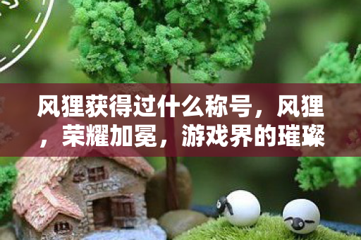 风狸获得过什么称号,风狸,荣耀加冕,游戏界的璀璨之星 风狸获得过什么称号,风狸,荣耀加冕,游戏界的璀璨之星
