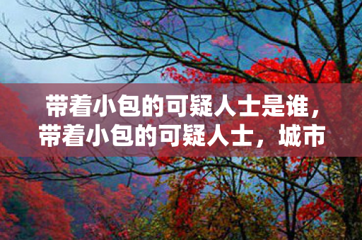 带着小包的可疑人士是谁,带着小包的可疑人士,城市中的隐秘行者 带着小包的可疑人士是谁,带着小包的可疑人士,城市中的隐秘行者