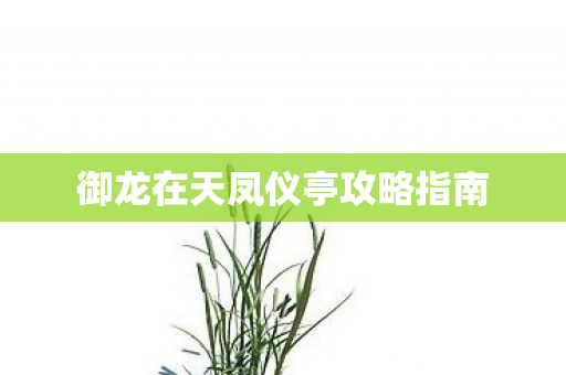 御龙在天凤仪亭攻略指南 御龙在天凤仪亭攻略指南