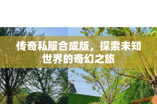 传奇私服合成版,探索未知世界的奇幻之旅 传奇私服合成版,探索未知世界的奇幻之旅