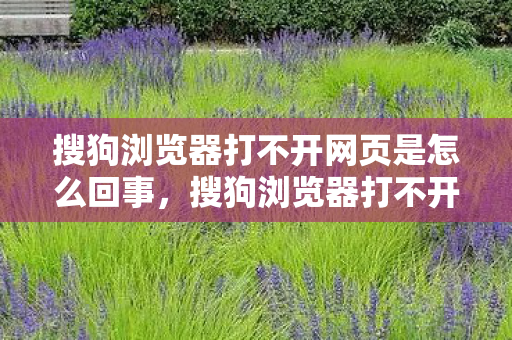 搜狗浏览器打不开网页是怎么回事,搜狗浏览器打不开网页,深度解析浏览器故障背后的原因与解决方案 搜狗浏览器打不开网页是怎么回事,搜狗浏览器打不开网页,深度解析浏览器故障背后的原因与解决方案