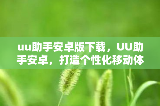 uu助手安卓版下载，UU助手安卓，打造个性化移动体验的新选择