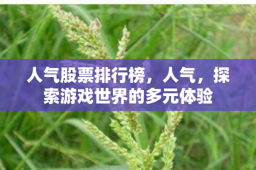 人气股票排行榜，人气，探索游戏世界的多元体验