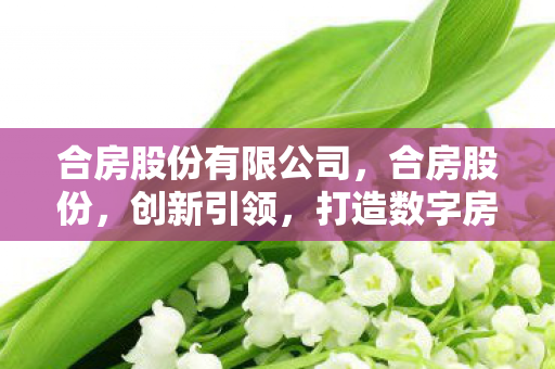 合房股份有限公司，合房股份，创新引领，打造数字房产新生态