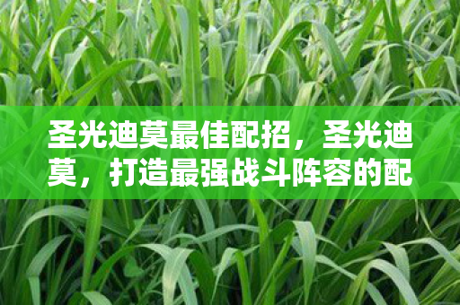 圣光迪莫最佳配招,圣光迪莫,打造最强战斗阵容的配招策略 圣光迪莫最佳配招,圣光迪莫,打造最强战斗阵容的配招策略