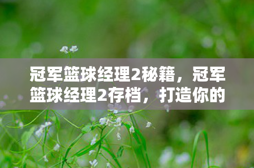 冠军篮球经理2秘籍,冠军篮球经理2存档,打造你的梦幻阵容 冠军篮球经理2秘籍,冠军篮球经理2存档,打造你的梦幻阵容