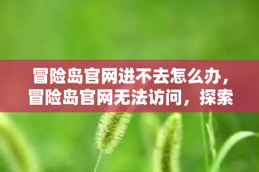 冒险岛官网进不去怎么办,冒险岛官网无法访问,探索背后的原因与解决方案 冒险岛官网进不去怎么办,冒险岛官网无法访问,探索背后的原因与解决方案