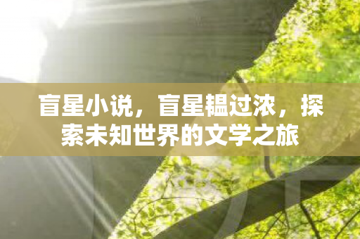 盲星小说,盲星韫过浓,探索未知世界的文学之旅 盲星小说,盲星韫过浓,探索未知世界的文学之旅