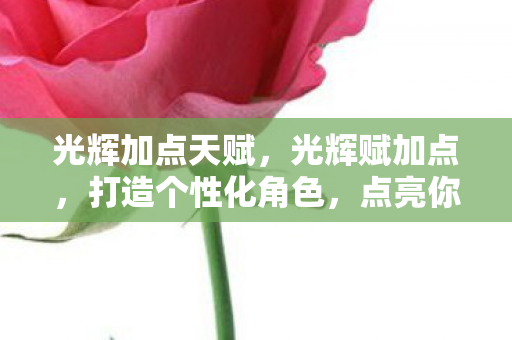 光辉加点天赋,光辉赋加点,打造个性化角色,点亮你的传奇之路 光辉加点天赋,光辉赋加点,打造个性化角色,点亮你的传奇之路