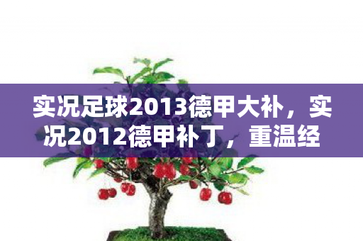 实况足球2013德甲大补，实况2012德甲补丁，重温经典，提升游戏体验