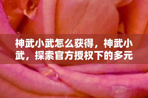 神武小武怎么获得，神武小武，探索官方授权下的多元游戏体验