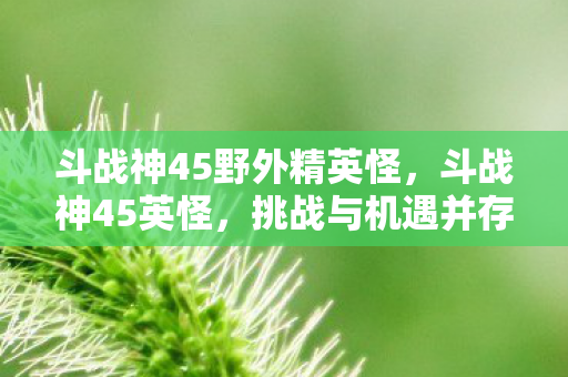 斗战神45野外精英怪，斗战神45英怪，挑战与机遇并存