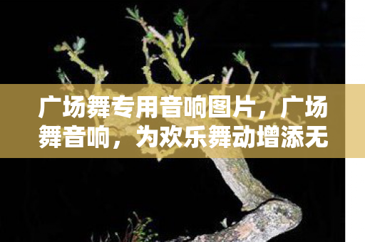 广场舞专用音响图片，广场舞音响，为欢乐舞动增添无限可能